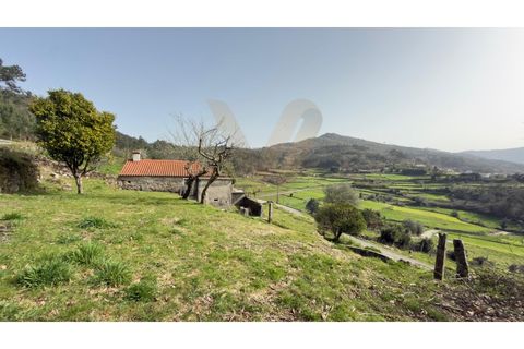 Landejendom i Ponte de Lima, Viana do Castelo, Ponte de Lima - € 117.000 | Ref: V428 - foto 27