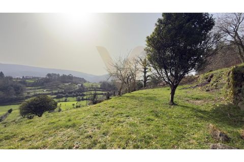 Landejendom i Ponte de Lima, Viana do Castelo, Ponte de Lima - € 117.000 | Ref: V428 - foto 28