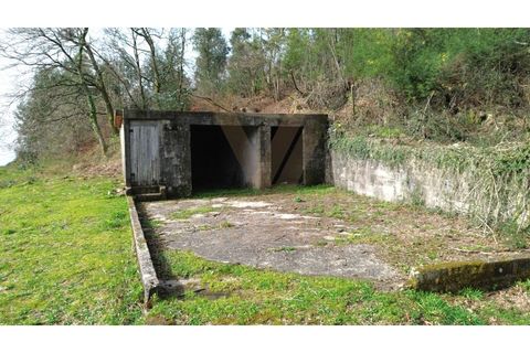 Landejendom i Ponte de Lima, Viana do Castelo, Ponte de Lima - € 117.000 | Ref: V428 - foto 29