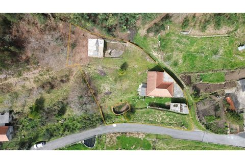 Landejendom i Ponte de Lima, Viana do Castelo, Ponte de Lima - € 117.000 | Ref: V428 - foto 30