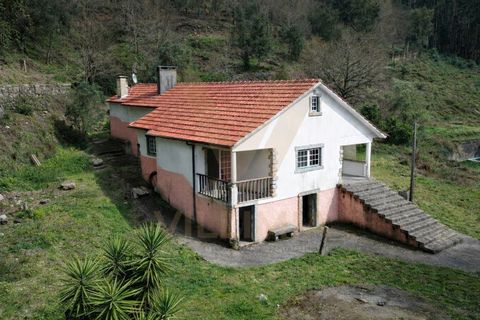 Farm i Ponte de Lima, Viana do Castelo, Ponte de Lima - € 270.000 | Ref: V443 - foto 6