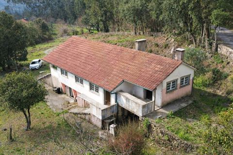 Farm i Ponte de Lima, Viana do Castelo, Ponte de Lima - € 270.000 | Ref: V443 - foto 8
