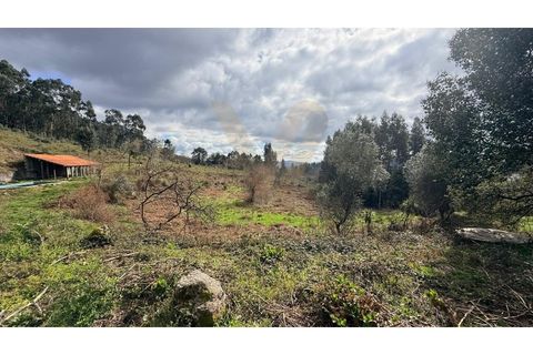 Farm i Ponte de Lima, Viana do Castelo, Ponte de Lima - € 270.000 | Ref: V443 - foto 9