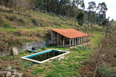 Farm i Ponte de Lima, Viana do Castelo, Ponte de Lima - € 270.000 | Ref: V443 - foto 10