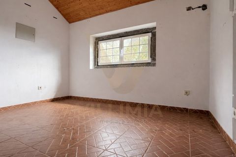 Farm i Ponte de Lima, Viana do Castelo, Ponte de Lima - € 270.000 | Ref: V443 - foto 14