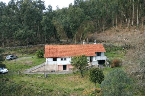 Farm i Ponte de Lima, Viana do Castelo, Ponte de Lima - € 270.000 | Ref: V443 - foto 22