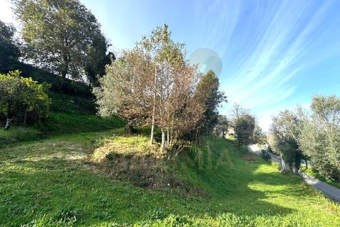 Grond in Gondufe, Viana do Castelo, Gondufe - € 57.000 | Ref: V159 - foto 7