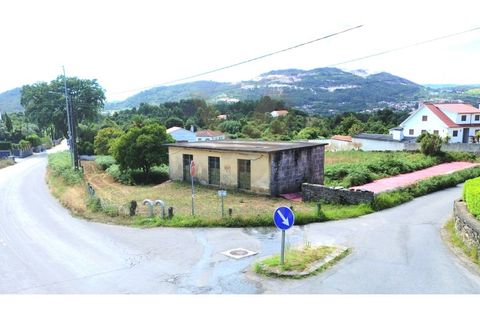 Tomt i Ponte de Lima, Viana do Castelo, Ponte de Lima - € 250 000 | Ref: V283 - foto 3