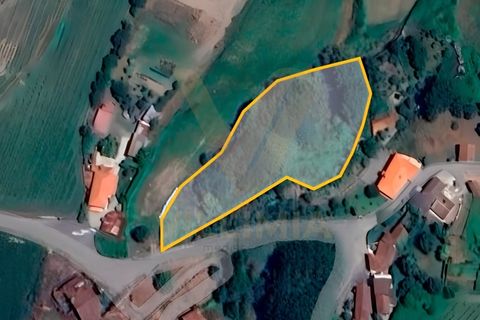 Tomt i Ponte de Lima, Viana do Castelo, Ponte de Lima - € 20 000 | Ref: V341 - foto 4