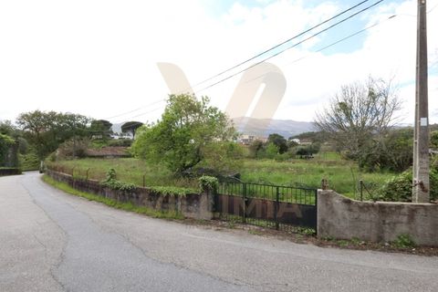 Helårsgrund i Viana do Castelo, Viana do Castelo, Viana do Castelo - € 97.000 | Ref: V234 - foto 6