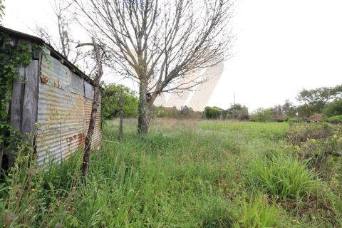 Helårsgrund i Viana do Castelo, Viana do Castelo, Viana do Castelo - € 97.000 | Ref: V234 - foto 9