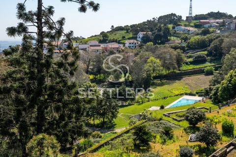 Villa i Sintra, Lisbon, Sintra - € 16.500.000 | Ref: SR_644 - foto 14