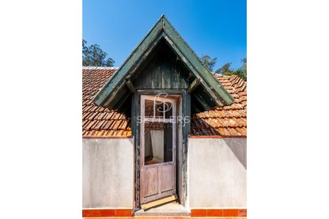 Villa i Sintra, Lisbon, Sintra - € 16.500.000 | Ref: SR_644 - foto 17