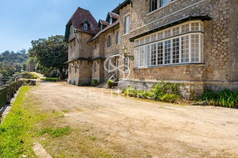 Villa i Sintra, Lisbon, Sintra - € 16.500.000 | Ref: SR_644 - foto 21