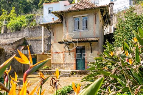 Villa i Sintra, Lisbon, Sintra - € 16.500.000 | Ref: SR_644 - foto 22
