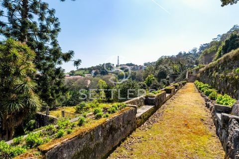 Villa i Sintra, Lisbon, Sintra - € 16.500.000 | Ref: SR_644 - foto 31