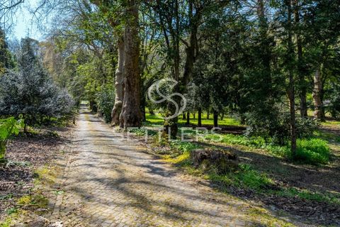 Villa i Sintra, Lisbon, Sintra - € 16.500.000 | Ref: SR_644 - foto 33