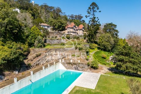 Villa i Sintra, Lisbon, Sintra - € 16.500.000 | Ref: SR_644 - foto 39