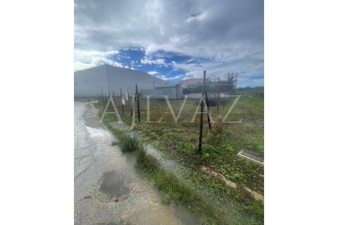 Helårsgrund i Odiaxere, Faro, Odiaxere - € 160.000 | Ref: PAR_367 - foto 7