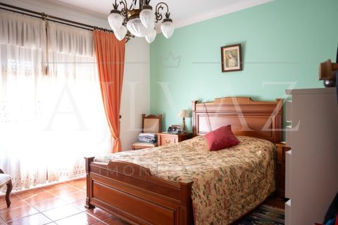 Villa i Vila Nova de Milfontes, Beja, Vila Nova de Milfontes - € 1.100.000 | Ref: CAS_358 - foto 24