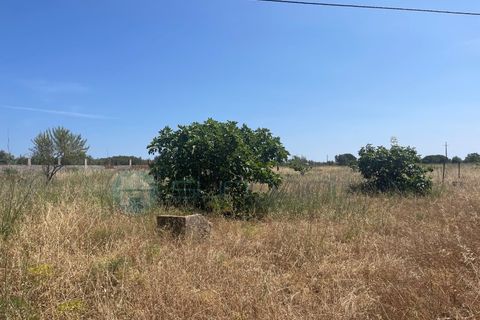 Helårsgrund i Bensafrim, Faro, Bensafrim - € 295.000 | Ref: T1814 - foto 2