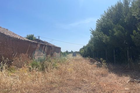 Helårsgrund i Bensafrim, Faro, Bensafrim - € 295.000 | Ref: T1814 - foto 3