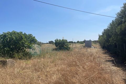 Helårsgrund i Bensafrim, Faro, Bensafrim - € 295.000 | Ref: T1814 - foto 5