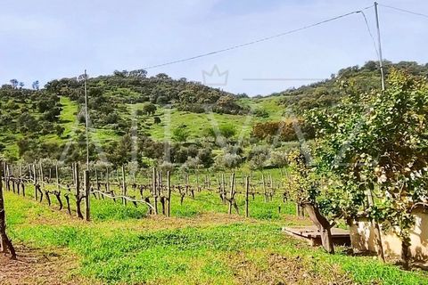 Villa a Odemira, Beja, Odemira - € 365.000 | Ref: CAS_193 - foto 2