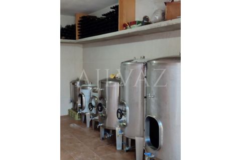 Villa a Odemira, Beja, Odemira - € 365.000 | Ref: CAS_193 - foto 3