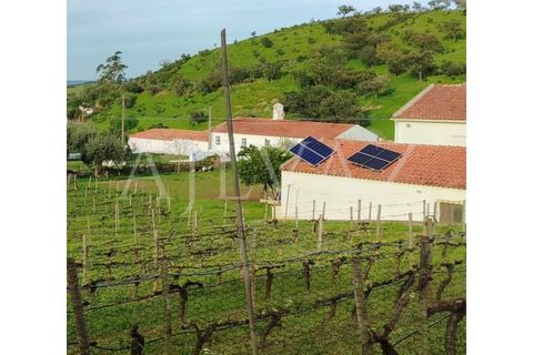 Villa a Odemira, Beja, Odemira - € 365.000 | Ref: CAS_193 - foto 7