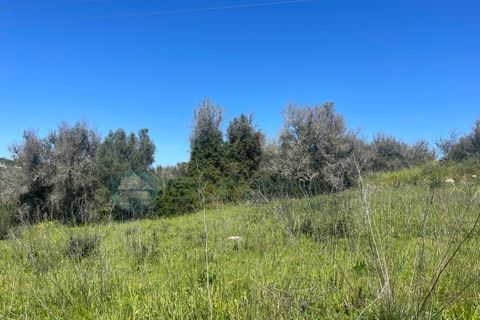 Grond in Luz, Faro, Luz - € 995.000 | Ref: T1711 - foto 14