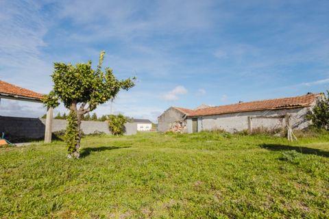 Villa i Bom Sucesso, Aveiro, Bom Sucesso - € 325.000 | Ref: FFAV5847 - foto 13