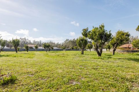 Villa i Bom Sucesso, Aveiro, Bom Sucesso - € 325.000 | Ref: FFAV5847 - foto 23