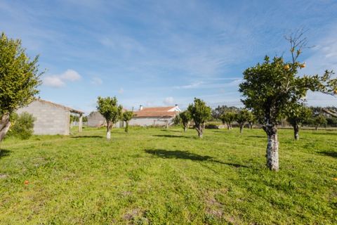 Villa i Bom Sucesso, Aveiro, Bom Sucesso - € 325.000 | Ref: FFAV5847 - foto 32