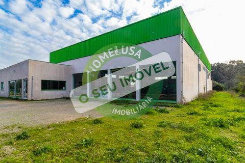Erhvervsejendom i Cantanhede, Coimbra, Cantanhede - € 750.000 | Ref: CNTCM 5736 - foto 2