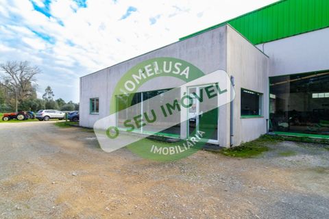 Erhvervsejendom i Cantanhede, Coimbra, Cantanhede - € 750.000 | Ref: CNTCM 5736 - foto 3