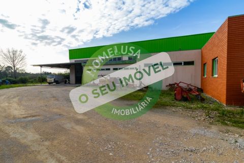 Erhvervsejendom i Cantanhede, Coimbra, Cantanhede - € 750.000 | Ref: CNTCM 5736 - foto 4