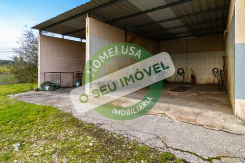 Erhvervsejendom i Cantanhede, Coimbra, Cantanhede - € 750.000 | Ref: CNTCM 5736 - foto 5