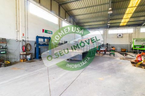 Erhvervsejendom i Cantanhede, Coimbra, Cantanhede - € 750.000 | Ref: CNTCM 5736 - foto 11