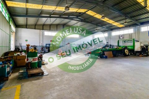 Erhvervsejendom i Cantanhede, Coimbra, Cantanhede - € 750.000 | Ref: CNTCM 5736 - foto 13