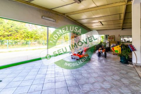 Erhvervsejendom i Cantanhede, Coimbra, Cantanhede - € 750.000 | Ref: CNTCM 5736 - foto 14