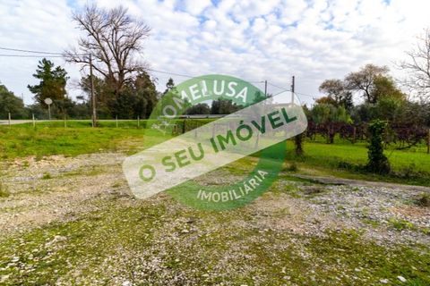 Erhvervsejendom i Cantanhede, Coimbra, Cantanhede - € 750.000 | Ref: CNTCM 5736 - foto 20
