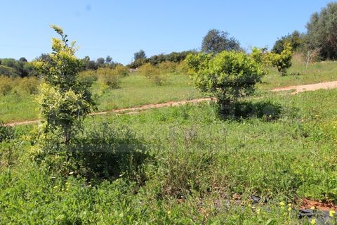 Træhytte i Algoz, Faro, Algoz - € 330.000 | Ref: STC2605 - foto 27