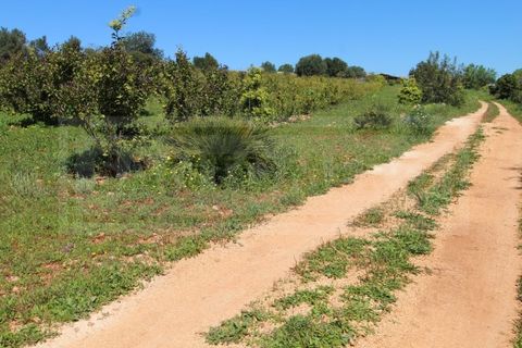 Træhytte i Algoz, Faro, Algoz - € 330.000 | Ref: STC2605 - foto 31