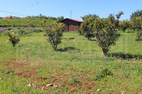 Træhytte i Algoz, Faro, Algoz - € 330.000 | Ref: STC2605 - foto 33