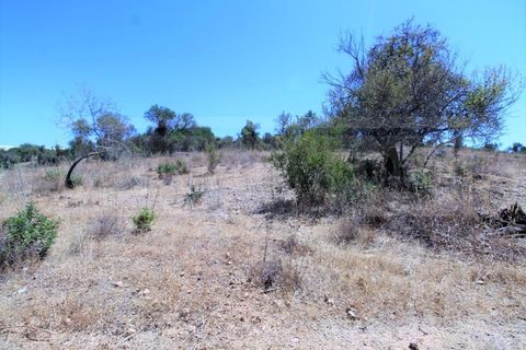 Helårsgrund i Algoz, Faro, Algoz - € 750.000 | Ref: STC2479 - foto 1