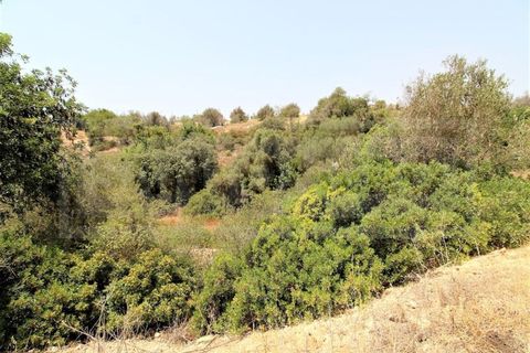 Ruinere i Alcantarilha, Faro, Alcantarilha - € 1.750.000 | Ref: STC2477 - foto 4