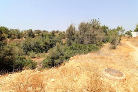 Ruinere i Alcantarilha, Faro, Alcantarilha - € 1.750.000 | Ref: STC2477 - foto 5