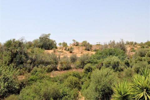 Ruinere i Alcantarilha, Faro, Alcantarilha - € 1.750.000 | Ref: STC2477 - foto 9