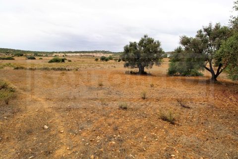 Helårsgrund i Tunes, Faro, Tunes - € 40.000 | Ref: STC2167 - foto 2